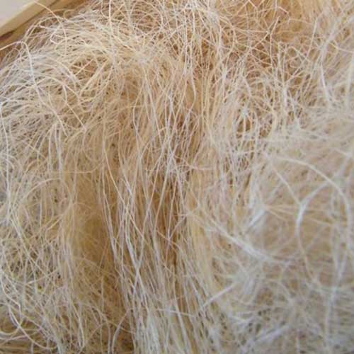 /storage/photos/38/products/neww/jute/golden jute fiber.jpg